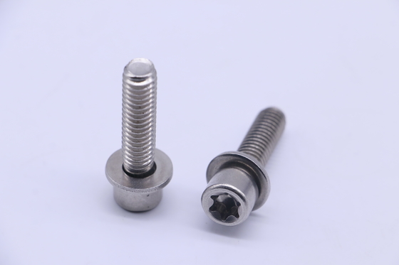 สกรูหัวกลมสแตนเลสดอกบ๊วยกันขโมย SS316 3/8-24X1"