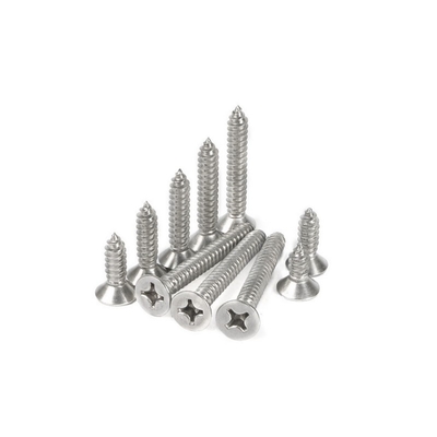 หัวเรียบสแตนเลสสกรูปัดตัวเอง Countersunk หัวเชิงหาง