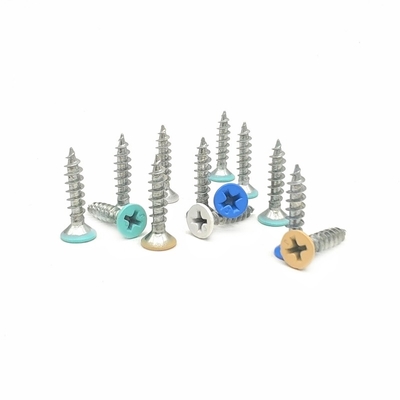 M20 สแตนเลส cross paint self tapping screws หัวเรียบ
