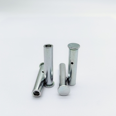 สแตนเลส Flat Head Rivet Nut M3-M8 ทองแดง