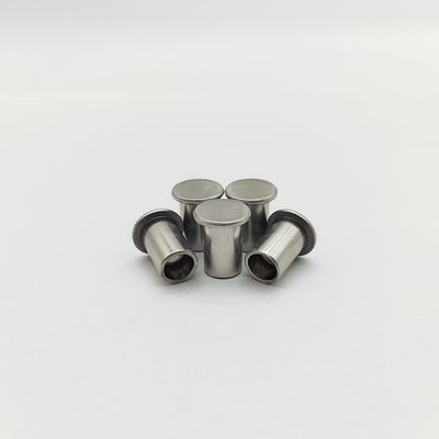 316L สแตนเลส หัวเรียบ หัวครึ่งท่อ Rivets ISO 15977